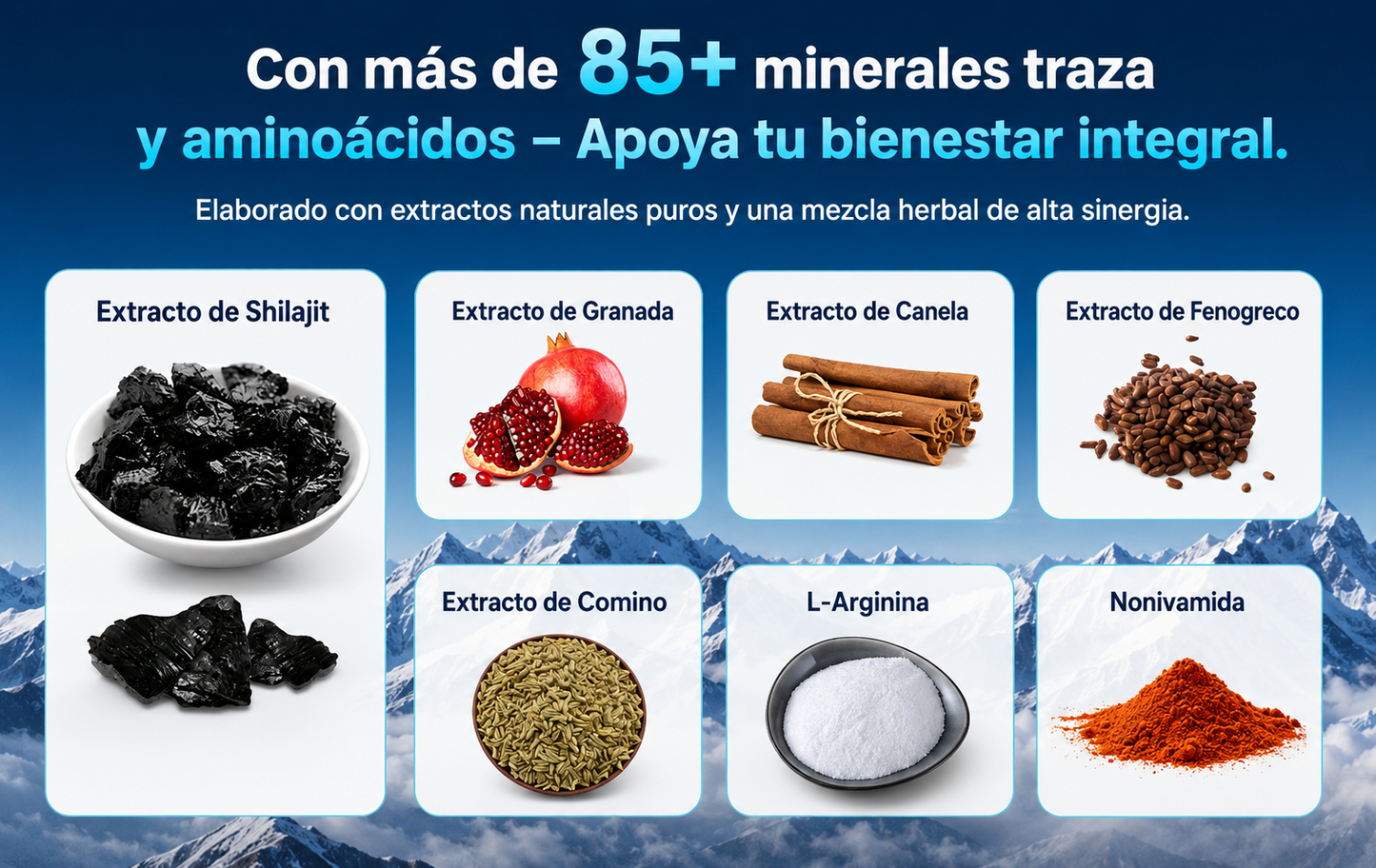 SHILAJIT ULTRA - 60 CAPSULAS